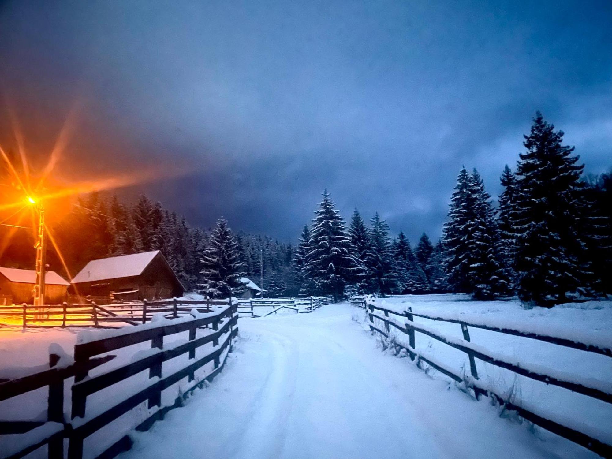 Magasbuekk Pataka Kulcsoshaz Villa Izvoare  Bagian luar foto